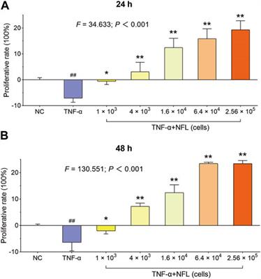 Nanofat lysate ameliorates pain and cartilage degradation of osteoarthritis through activation of TGF-β–Smad2/3 signaling of chondrocytes